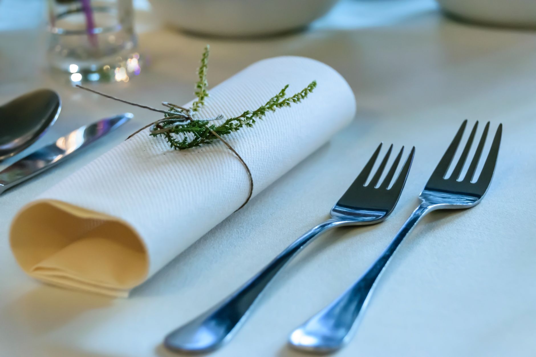 Couteaux de table : lame lisse ou crantée ?